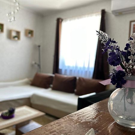 Levendula Vendeghaz Villa Balatonföldvár Exterior foto